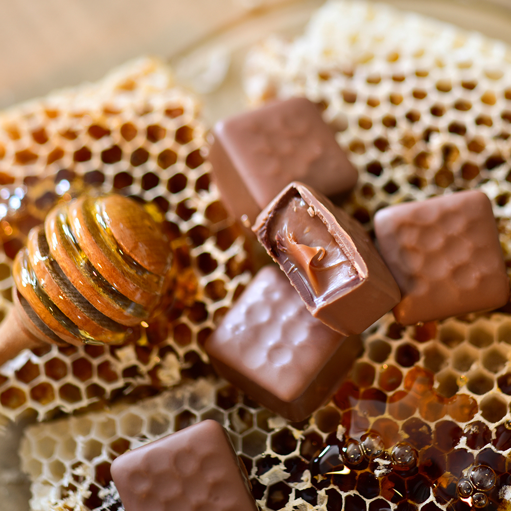 Quadratische Vollmilchpralinen auf echten Honigwaben mit einer aufgeschnittenen Praline, die eine cremige Füllung zeigt