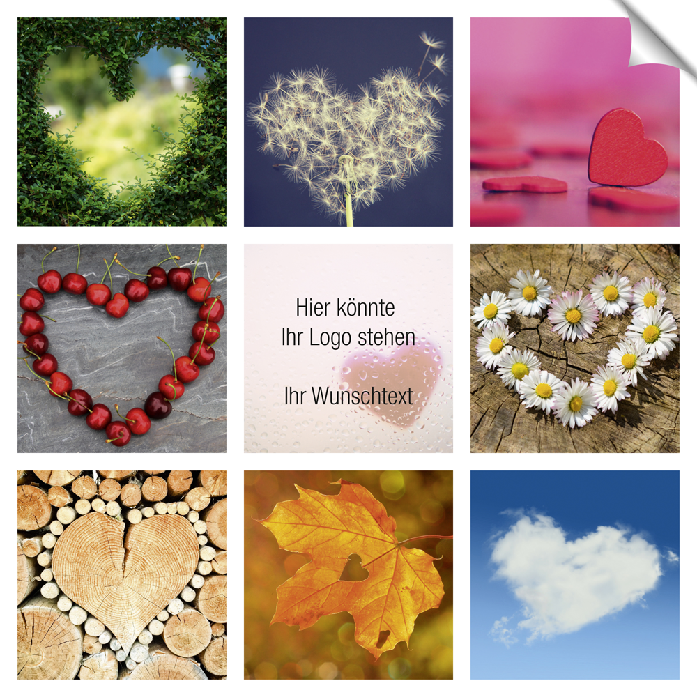 5255_gesamt mit Icons