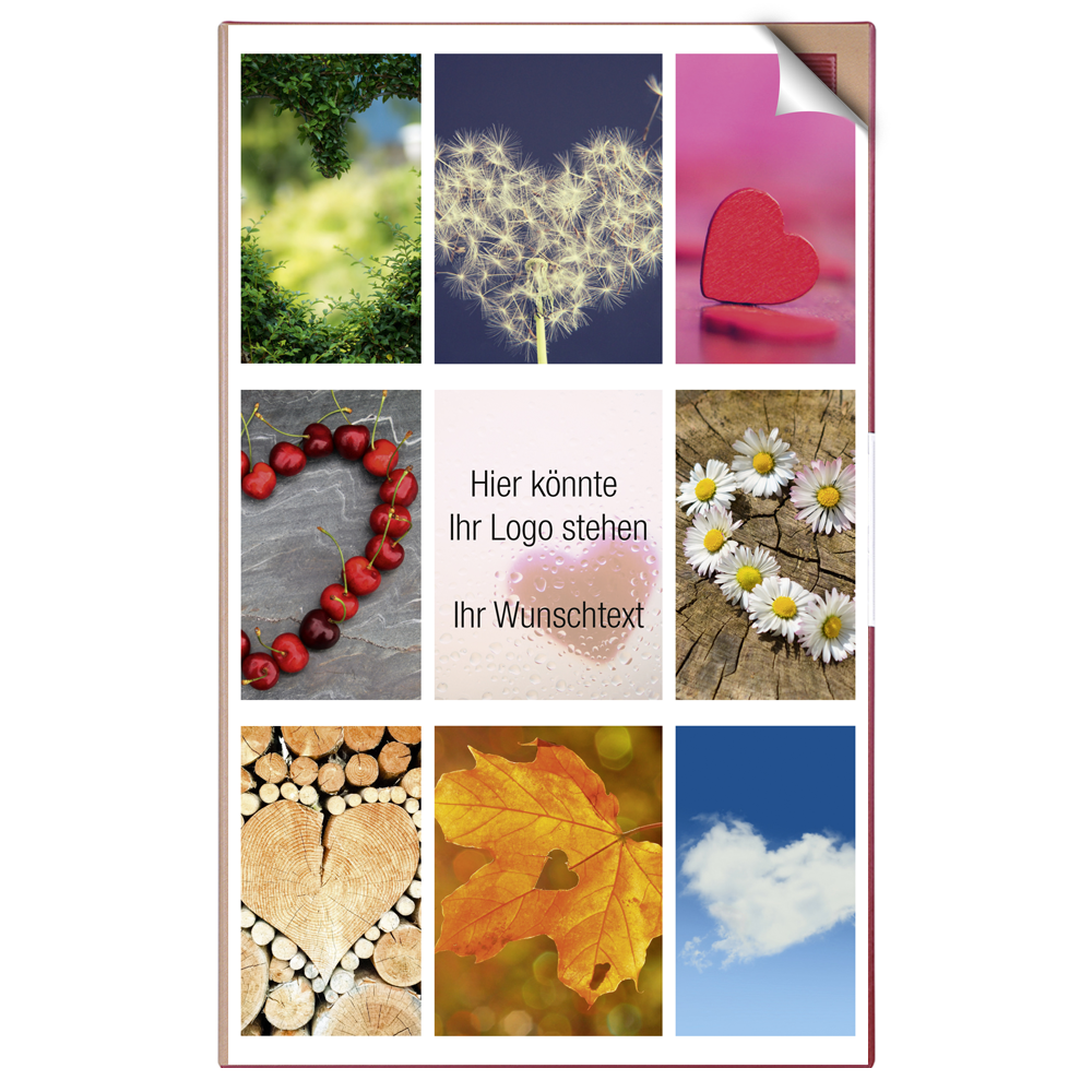5154_gesamt mit Icons