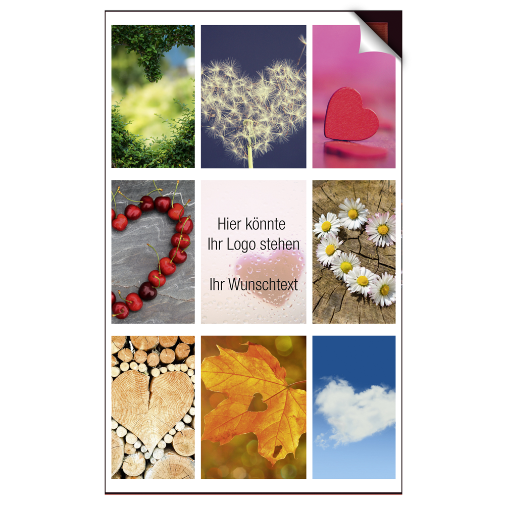5155_gesamt mit Icons