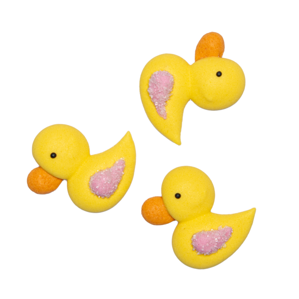 ENTEN