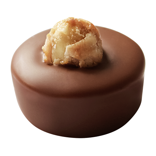 Lauensteiner Nougat-Praline mit Haselnuss