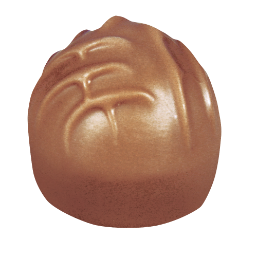 Waffel-Nougat-Praline