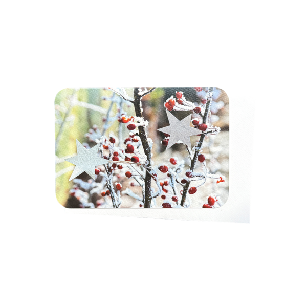Greeting Card - Snowy Tree