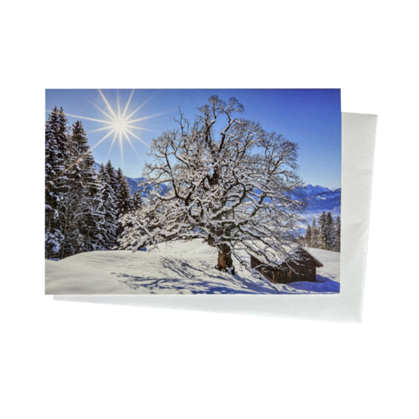 Greeting Card - Snowy Landscape